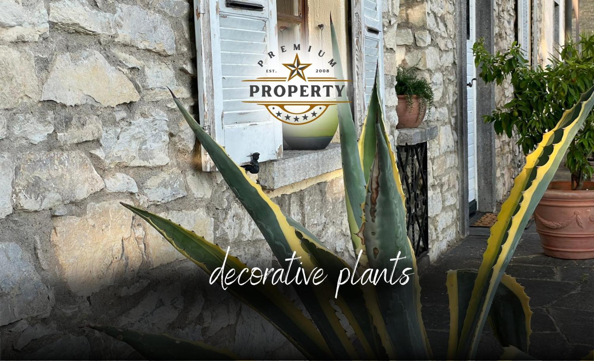 Magnificent Sunstone House, Private Parking, Bbq Area, Kids Toys, Near Como Lake I Villa Dei Leoni Morbio Inferiore Extérieur photo